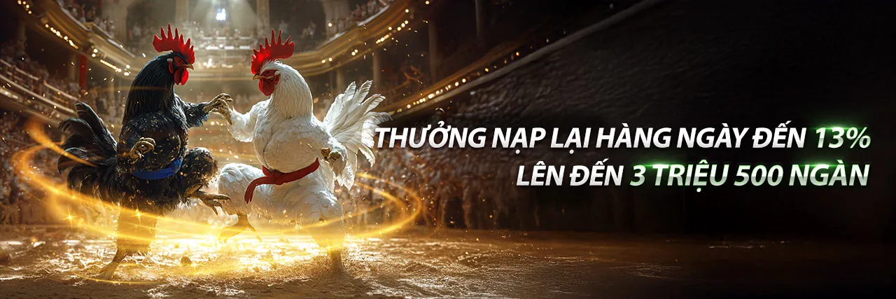 Nền tảng 5566 uy tín và bảo mật